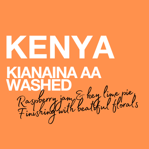 Kenya Kianaina AA | Washed