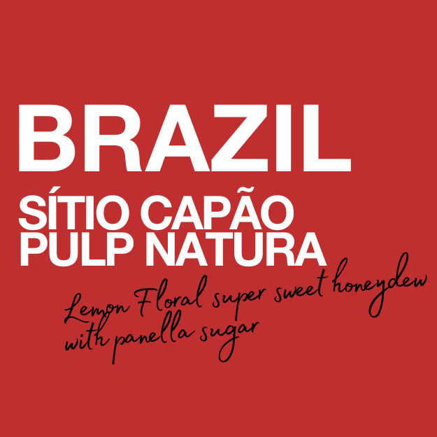Brazil | Sítio Capão
