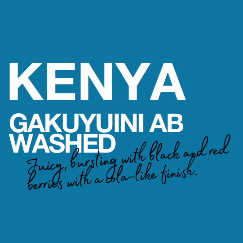 Kenya Gakuyuini AB | Kirinyaga Washed